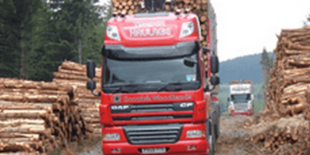 Woodland forestry