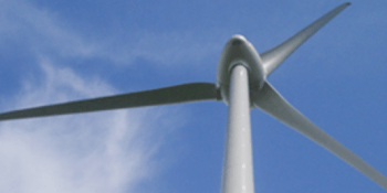 Green Cat Renewables