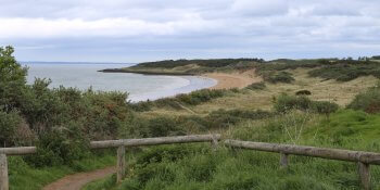Gullane Bents
