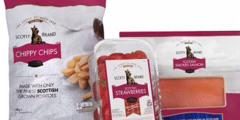 Scotty-Brand-and-plastic-containers
