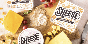 Bute-Island-Food-Group-Sheese-vegan-products