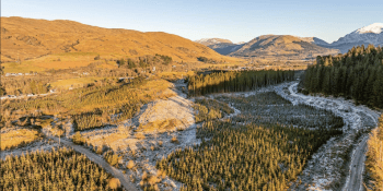 Dalmally Forest