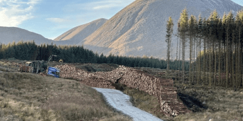 Scottish Woodlands