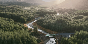 Glenforsa forest, Mull (Scottish Woodlands)