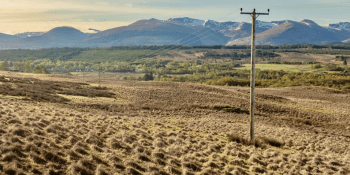 Electricity cables on wooden poles