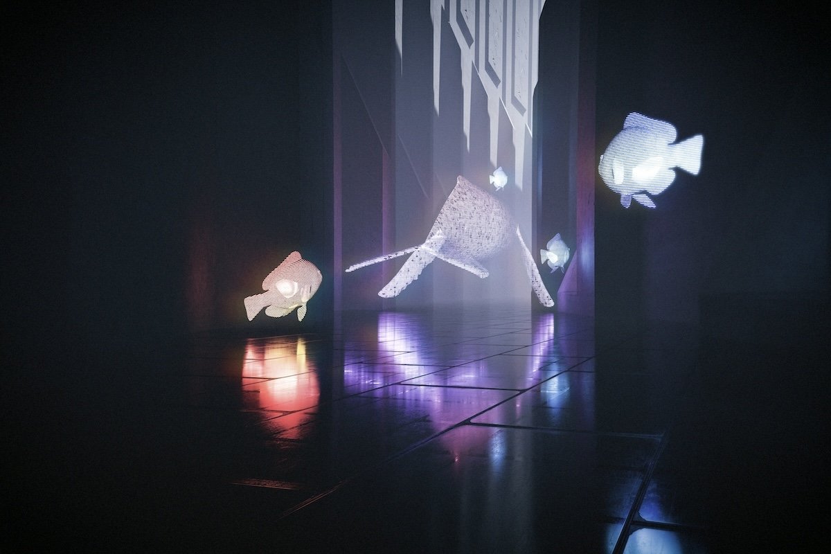 hologram projections of sealife